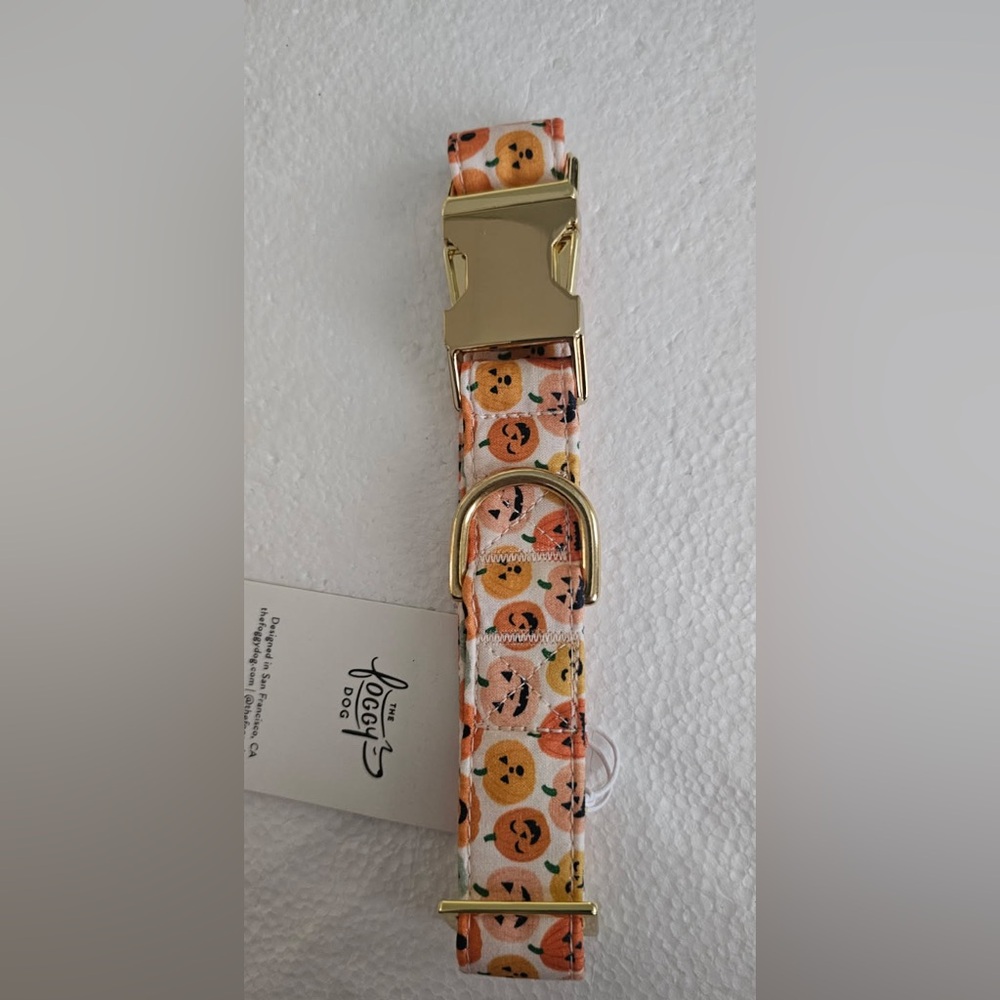 The Foggy Dog Pumpkins Dog Collar (M)